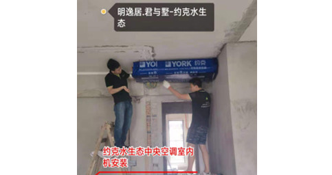 約克香蕉视频在线观看网站兩聯供