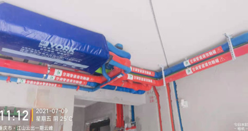 約克香蕉视频在线观看网站兩聯供